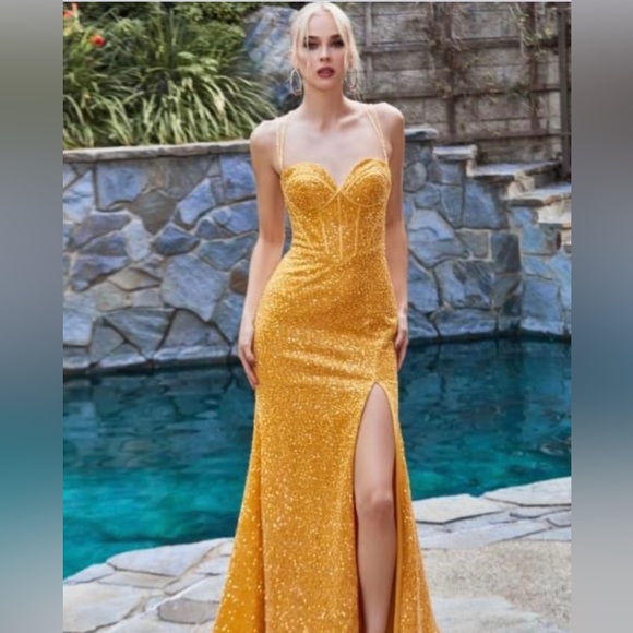 Marigold Ball Gown - Picture 2 of 4